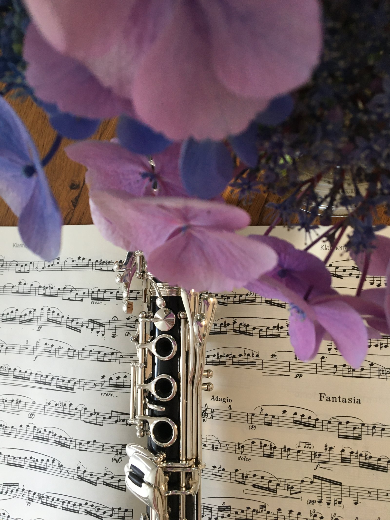 Acoustic Bore Polishing & Micro-Lapping